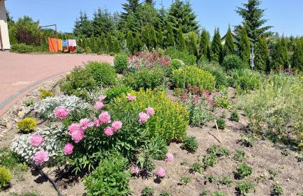 Agroturystyka Pokój na Skarpie - Foto 6