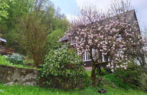 Haus am Wald Zorge 16+ Gäste - Foto 23