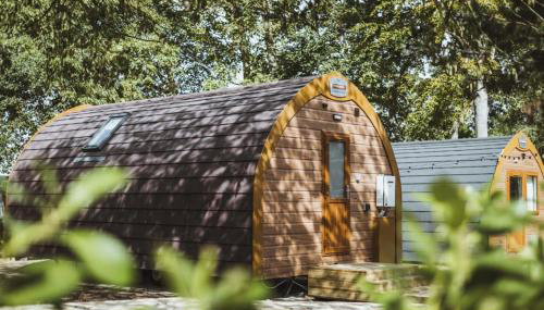 Carlton Manor pods - Foto 1, Garden, Garden view