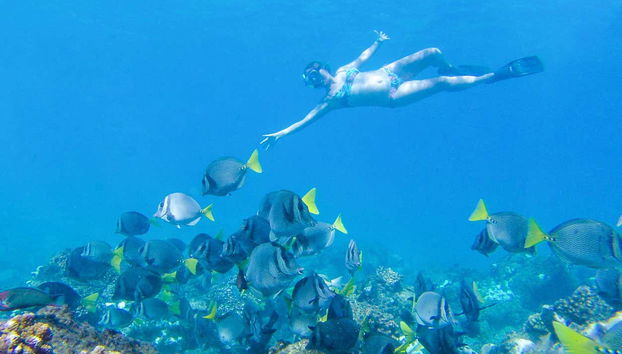 Snorkeling in Banderas Bay