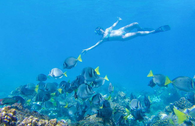 Giro in veliero sulla Bahía de Banderas - Foto 3