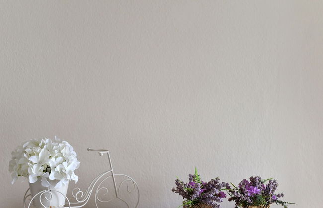 Villa Andu Zadarvillas - Foto 5