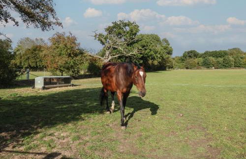 Fisherman's Rest - Foto 30