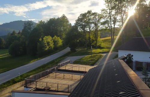 Apratmán Julie – Bavorská Ruda - Foto 6