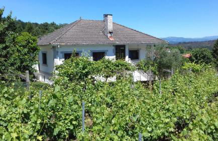 Villa con piscina en Pantòn Ribeira Sacra Galicia Ideal para familias - Foto 3