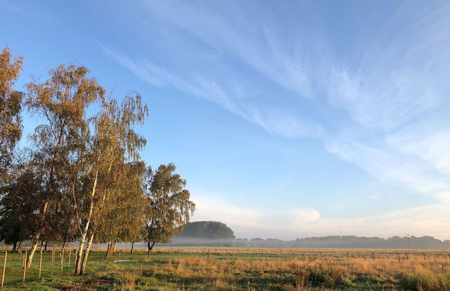 Villa Maria Garden Cottages - Foto 30