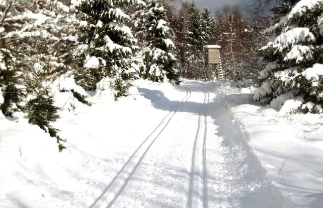 Familienkomfort in Schlossnahe - Foto 40