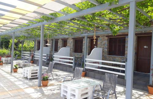 Ammos papanero - Foto 11