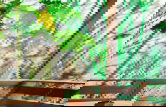 Danka Vacation Home - Foto 35