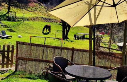 La Masia del Batlle - Photo 46