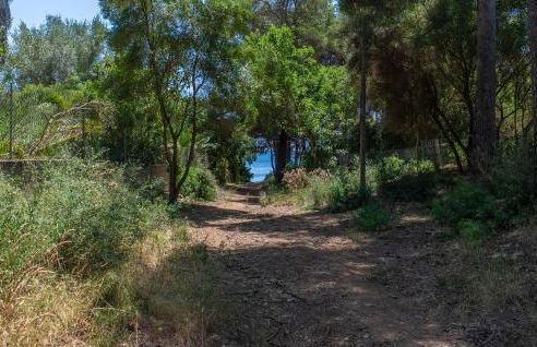 Ca'n Tomeu - Foto 41