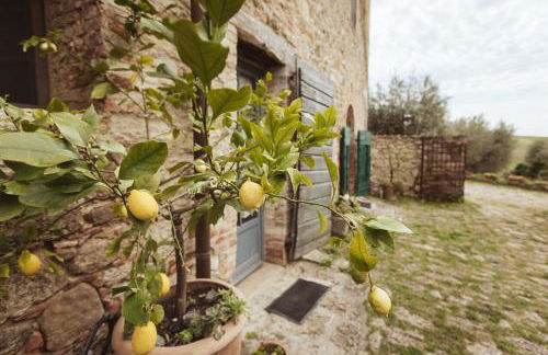 Podere Spedalone - Foto 50