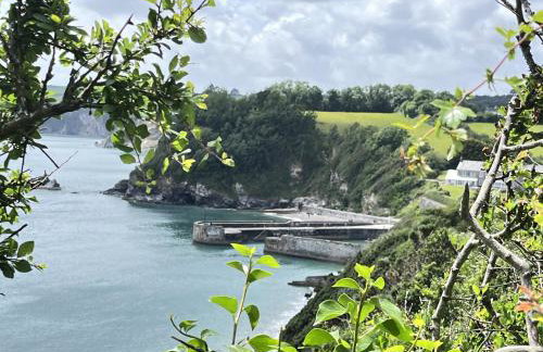 Blue Haze - Family accommodation with private beach access - Foto 53