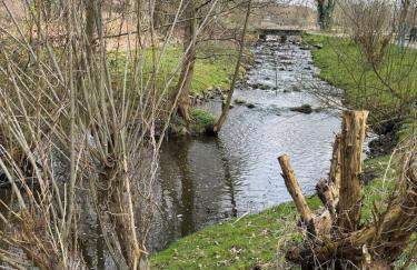 Ruhige Maisonette im Grünen - Foto 37