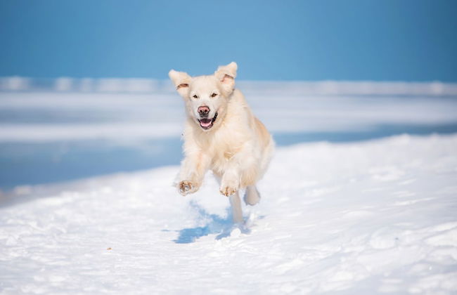 Haus Johanneshorst - Foto 33