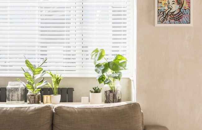 The Lanes Residence - Foto 20