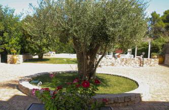 Villa Arisa with pool - Foto 8