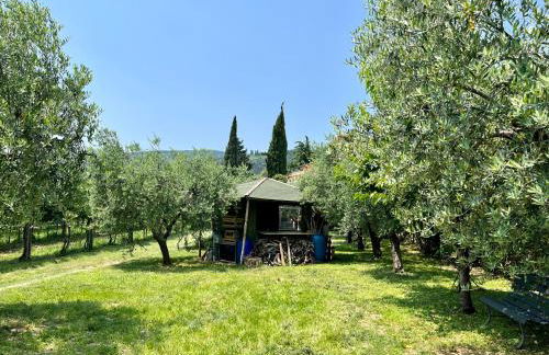 Corte Lavarini The Magic At Sight - Foto 42