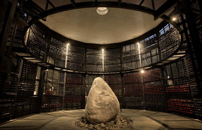 Tour nel sud della zona vitivinicola della Valle de Uco - Foto 7