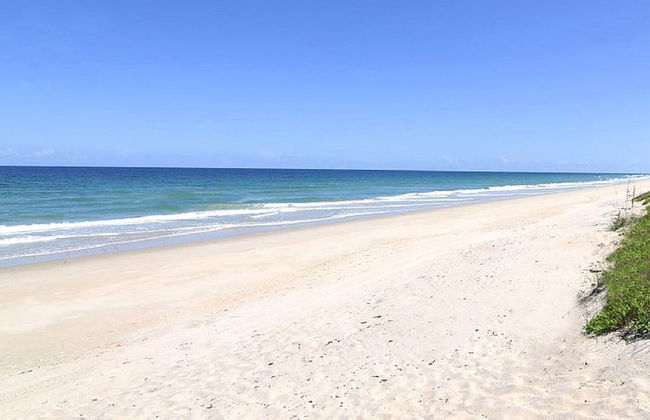 Avis House - Foto 29