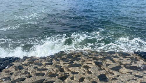 Kleine Scholle - Photo 4, Other