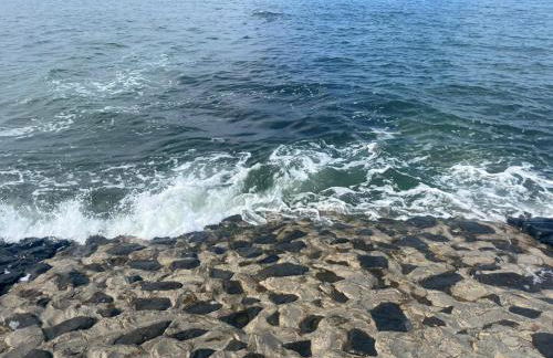 Kleine Scholle - Photo 4