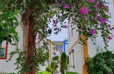 Billy's Puerto de Mogán Apartments by LIVVO - Foto 22