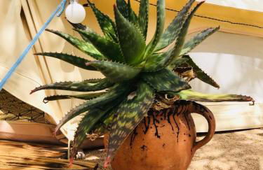 Family bell tent - Foto 8