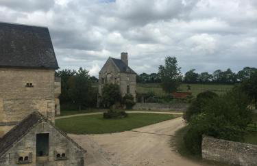 Boutons d'or - Foto 1