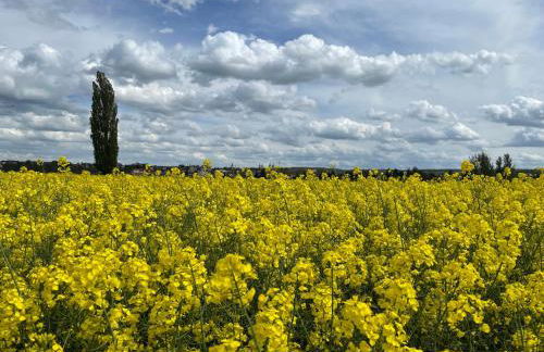 Brix Apartment - Foto 44