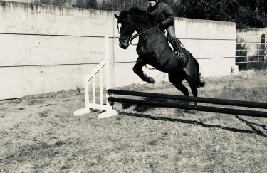 Stewards Bothy - Foto 48