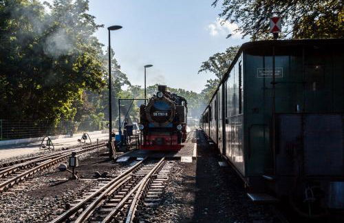 Haus Sonnenschein Göhren - Foto 43
