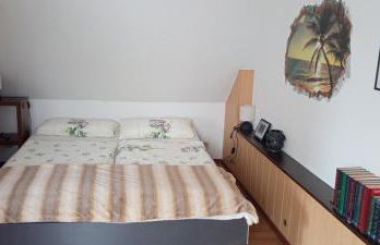 Ferienwohnung Waldblick in Frauenstein - Foto 13