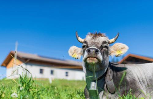 Plattner-Hof - Foto 34