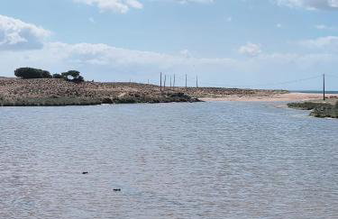 Bayline- Beachfront and Pool - Photo 39
