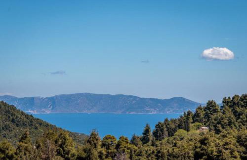 Villa Siraino - Ktima Skopelos - Foto 43