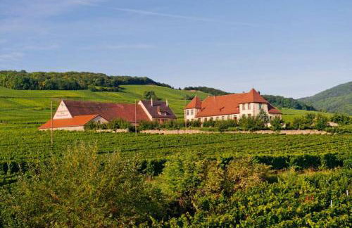 Domaine du Bouxhof - Foto 1