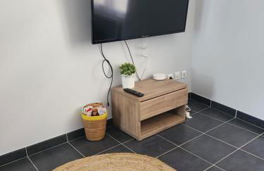 APPT CENTRE VILLE GARE HOPITAL IUT - Foto 3