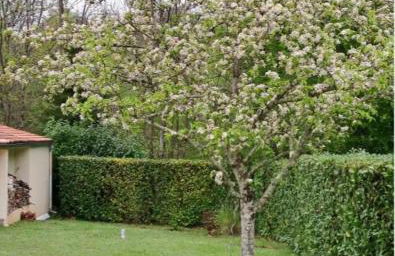 Notre Refuge - Foto 26