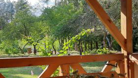 Pasieka Dobro i Smak - Foto 4, Garden