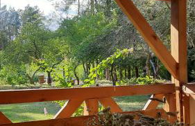 Pasieka Dobro i Smak - Foto 4