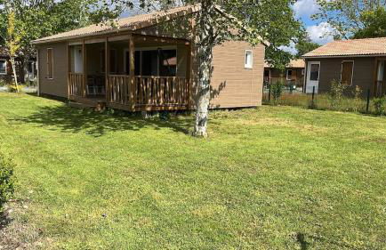 Sous la canopée - le calme au bord du lac - Foto 5