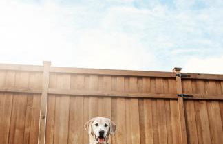 Winston Ardmore Executive King Bed Suite &hot tub - Foto 14