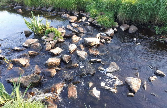 Holiday House House by the Lake - Foto 9