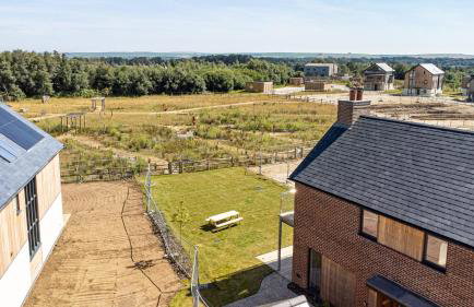 Meadow Hare SV06 Silverlake Dorset - Photo 35
