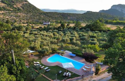 Azienda Agricola Passaro - Photo 3