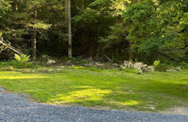 Serene Cabin between Fayetteville& Summerville WV - Foto 18