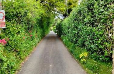 Modern cosy apartment walking distance to many cove beaches and coast path walks as well as the famous Helford river - Foto 40