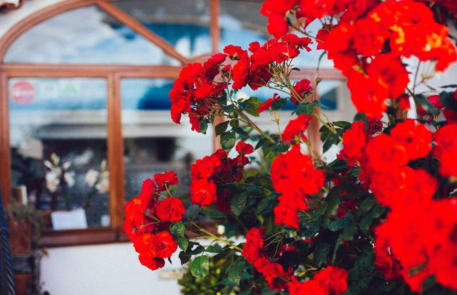 IL Giardino Dell'Arte - Guest House - Foto 15