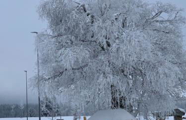 Ferienwohnung Heimweg - Foto 45